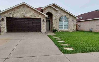 Photo of Taylor F.'s yard after getting lawn care in Fort Worth, TX