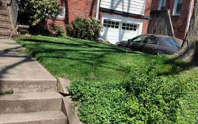 Photo of Jalil M.'s yard after getting lawn care in Arlington, VA