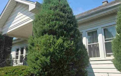 Photo of Cheney F.'s yard after getting lawn care in Monroeville, PA