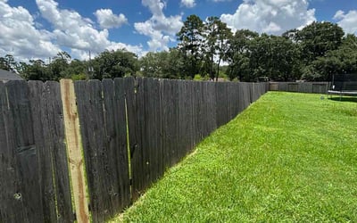 Photo of Gabriel R.'s yard after getting lawn care in Wakefield, MA