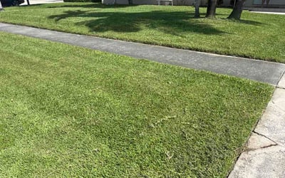 Photo of Dionne K.'s yard after getting lawn care in Prattville, AL