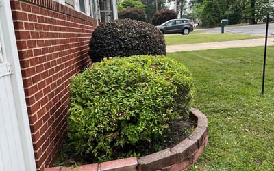 Photo of Godwin O.'s yard after getting lawn care in Charlotte, NC