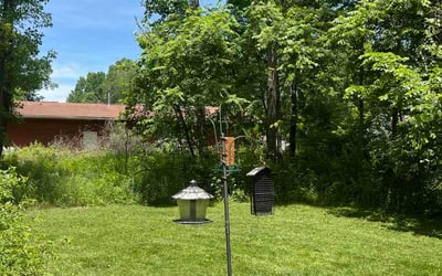 Photo of Mike B.'s yard after getting lawn care in Hernando, MS
