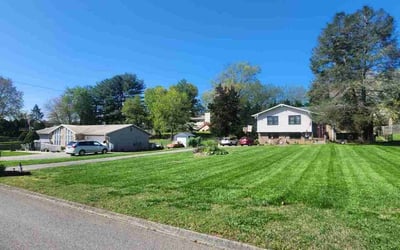 Photo of Sam A.'s yard after getting lawn care in Knoxville, TN