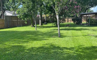 Photo of Tina H.'s yard after getting lawn care in Farmington, CT