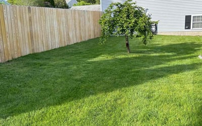 Photo of Kekentia G.'s yard after getting lawn care in Cumberland, RI