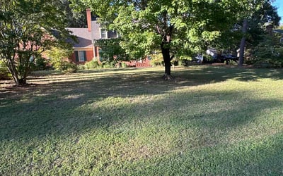 Photo of Shellena T.'s yard after getting lawn care in Southfield, MI