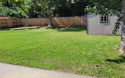 Photo of Chris S.'s yard after getting lawn care in Fort Mill, SC