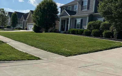 Photo of Michael W.'s yard after getting lawn care in Grove City, OH