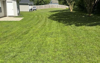 Photo of Steven B.'s yard after getting lawn care in Springfield, MO