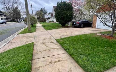 Photo of Gail N.'s yard after getting lawn care in Oregon City, OR