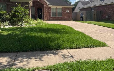 Photo of Sue K.'s yard after getting lawn care in Atascadero, CA