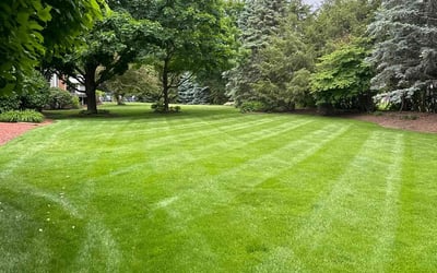 Photo of Joe H.'s yard after getting lawn care in Crystal Lake, IL