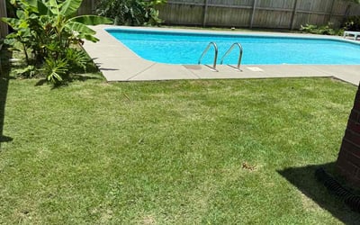 Photo of Jon K.'s yard after getting lawn care in Dorchester, MA