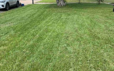 Photo of Jackie V.'s yard after getting lawn care in Tuscaloosa, AL