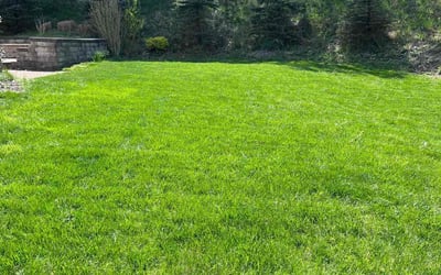 Photo of Patty T.'s yard after getting lawn care in Wexford, PA