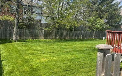 Photo of Michele B.'s yard after getting lawn care in Richwood, OH