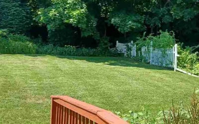 Photo of Stephen R.'s yard after getting lawn care in Southbury, CT