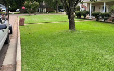 Photo of Mary Ann S.'s yard after getting lawn care in Madison, MS