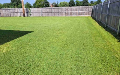 Photo of Michael K.'s yard after getting lawn care in Chico, CA