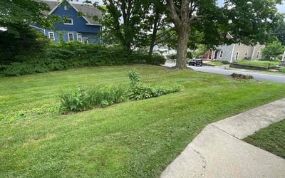 Photo of Joy R.'s yard after getting lawn care in Derby, CT