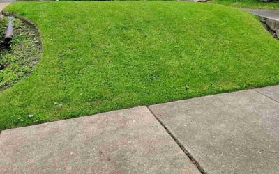 Photo of Maurice G.'s yard after getting lawn care in St. Louis, MO