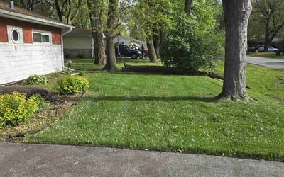 Photo of Cole H.'s yard after getting lawn care in Crestwood, IL
