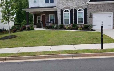 Photo of Emily N.'s yard after getting lawn care in Champaign, IL