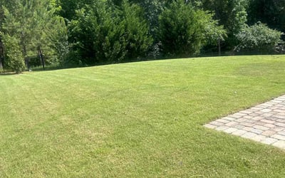 Photo of Matt C.'s yard after getting lawn care in Ocean Isle Beach, NC