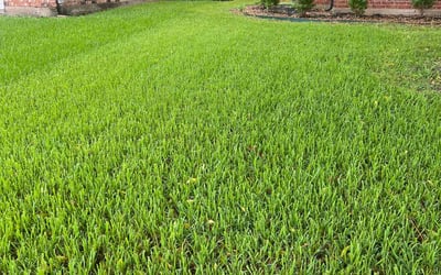 Photo of Alex L.'s yard after getting lawn care in Pottstown, PA