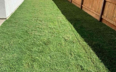 Photo of Brianna W.'s yard after getting lawn care in Bakersfield, CA
