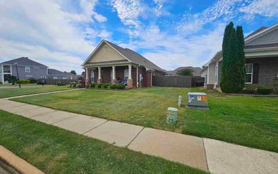 Photo of Ala M.'s yard after getting lawn care in Midlothian, IL