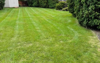 Photo of Betsy S.'s yard after getting lawn care in Fishers, IN