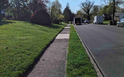 Photo of Judith A.'s yard after getting lawn care in Quakertown, PA
