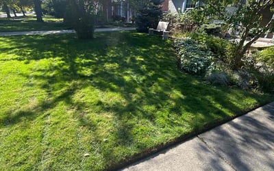 Photo of Meadow M.'s yard after getting lawn care in Redford, MI