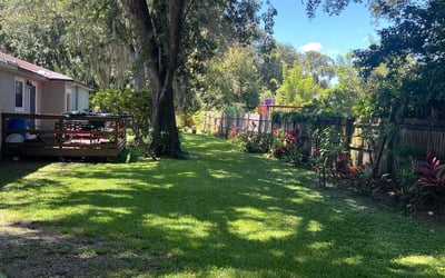 Photo of Jan R.'s yard after getting lawn care in Kenner, LA