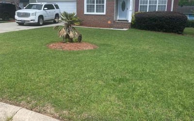 Photo of Lavetta T.'s yard after getting lawn care in Winnsboro, SC