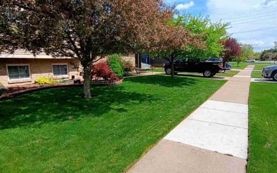 Photo of Karinna F.'s yard after getting lawn care in Stone Mountain, GA