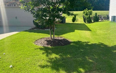 Photo of Alan M.'s yard after getting lawn care in Mount Holly, NC