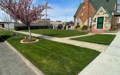 Photo of Teresa B.'s yard after getting lawn care in Battle Creek, MI