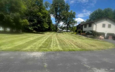 Photo of Tamara H.'s yard after getting lawn care in Bronx, NY