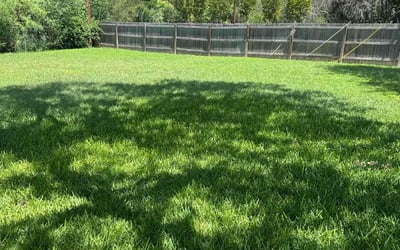 Photo of Brett T.'s yard after getting lawn care in San Antonio, TX