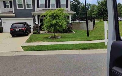 Photo of Sandra A.'s yard after getting lawn care in Leland, NC
