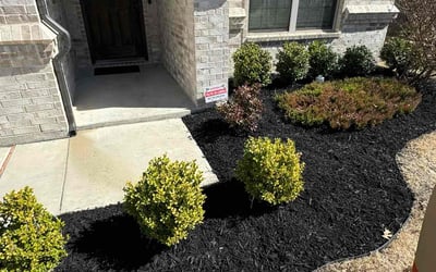 Photo of Shawn G.'s yard after getting lawn care in Weatherford, TX