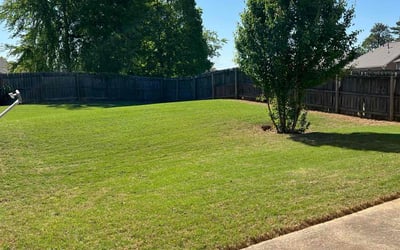 Photo of Mike C.'s yard after getting lawn care in Lawrenceville, GA