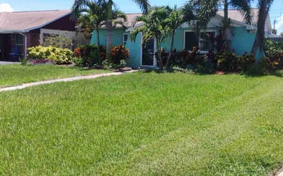 Photo of Trish M.'s yard after getting lawn care in Pelham, AL