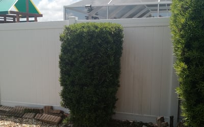 Photo of Cassandra M.'s yard after getting tree care in Rochester, NY