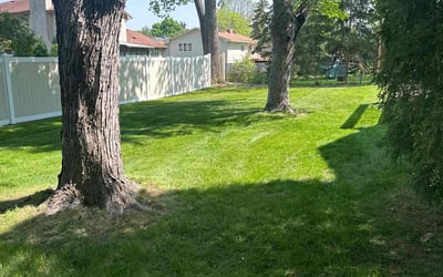 Photo of Michelle F.'s yard after getting lawn care in Saint Cloud, MN