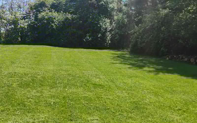 Photo of Jane T.'s yard after getting lawn care in Florence, KY