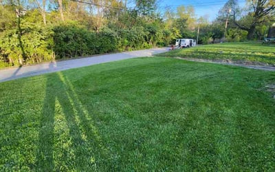 Photo of James H.'s yard after getting lawn care in Steubenville, OH